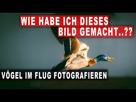 Wie kam es zu dieser Aufnahme? - Spontan im Garten fotografieren