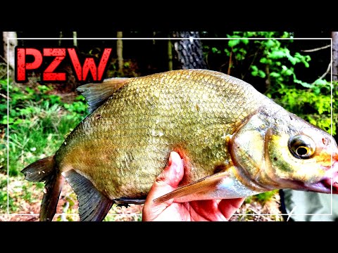 Ciężkie Jezioro Pod Metodę / Kolejna Próba / Method Feeder / Pzw /