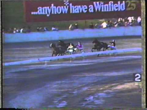 1984 Interdominions - Globe Derby Park, Adelaide, Trotters' Consolation: Bravado Vale