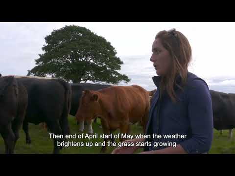 Farming Foodsteps On Farm Video Series: Golland Farm Episode 4