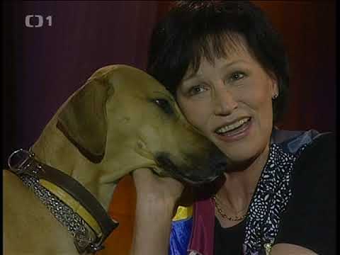 Marta Kubišová - Já mám ráda pejsky (1998)