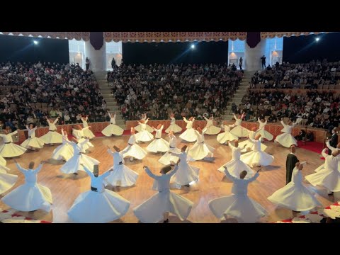 Dan Vineberg and The New Travel