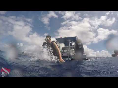 SCUBA divers descending toward the Sea Tiger Wreck in Honolulu, Hawaii