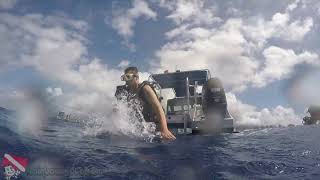 Massive sea turtle resting on the deck of the Sea Tiger Wreck on Oahu