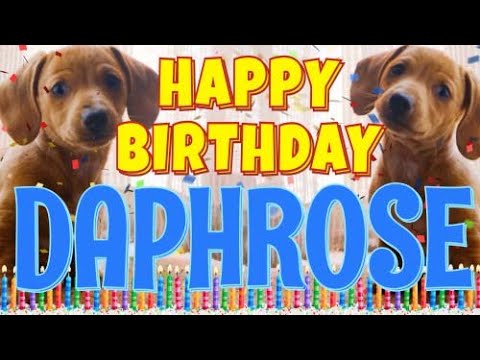 Happy Birthday Daphrose! ( Funny Talking Dogs ) What Is Free On My Birthday
