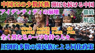徹底解説！圧倒的多数の漢民族と中国55の少数民族！全く異なる文化やルーツを持つ人々に行った中国政府の政策とは？