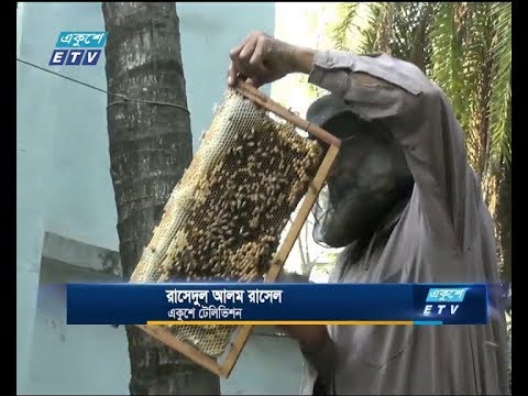 মেহেরপুরে বাক্সে মৌ চাষে সফলতা