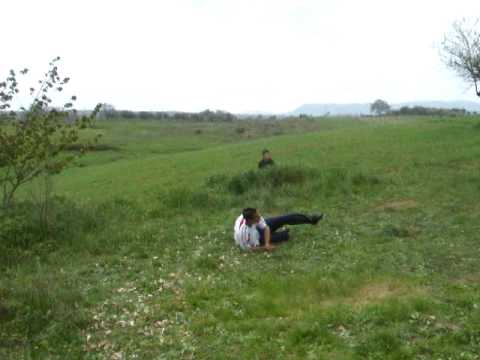 il torres della tuscia