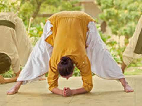 Angamardhana |sadhguru vision|