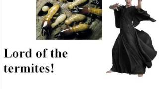 Nile- Chapter of Obeisance... interpretation parody