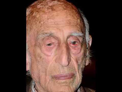 Italian art critic Gillo Dorfles Died at 107