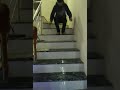 Ass Walk