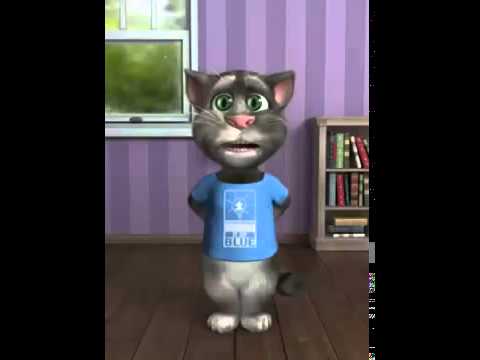 Akh Boldi Roshan Prince and Talking Cat Funny Video