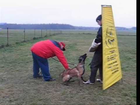 Javelin de Alphaville Bohemia - protection - 17 months