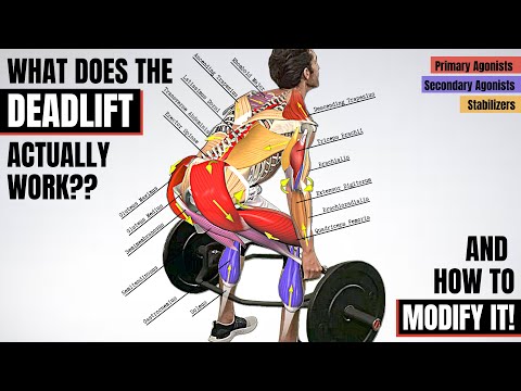 BEFORE YOU DEADLIFT, Understand the Anatomy Behind It! (Which Muscles It Works & How to Modify It) 🔥