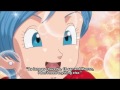 Bulma Grants Everyone S Wish