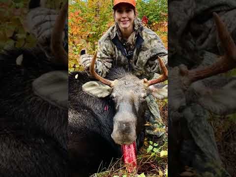 Moose hunting with Maine game warden