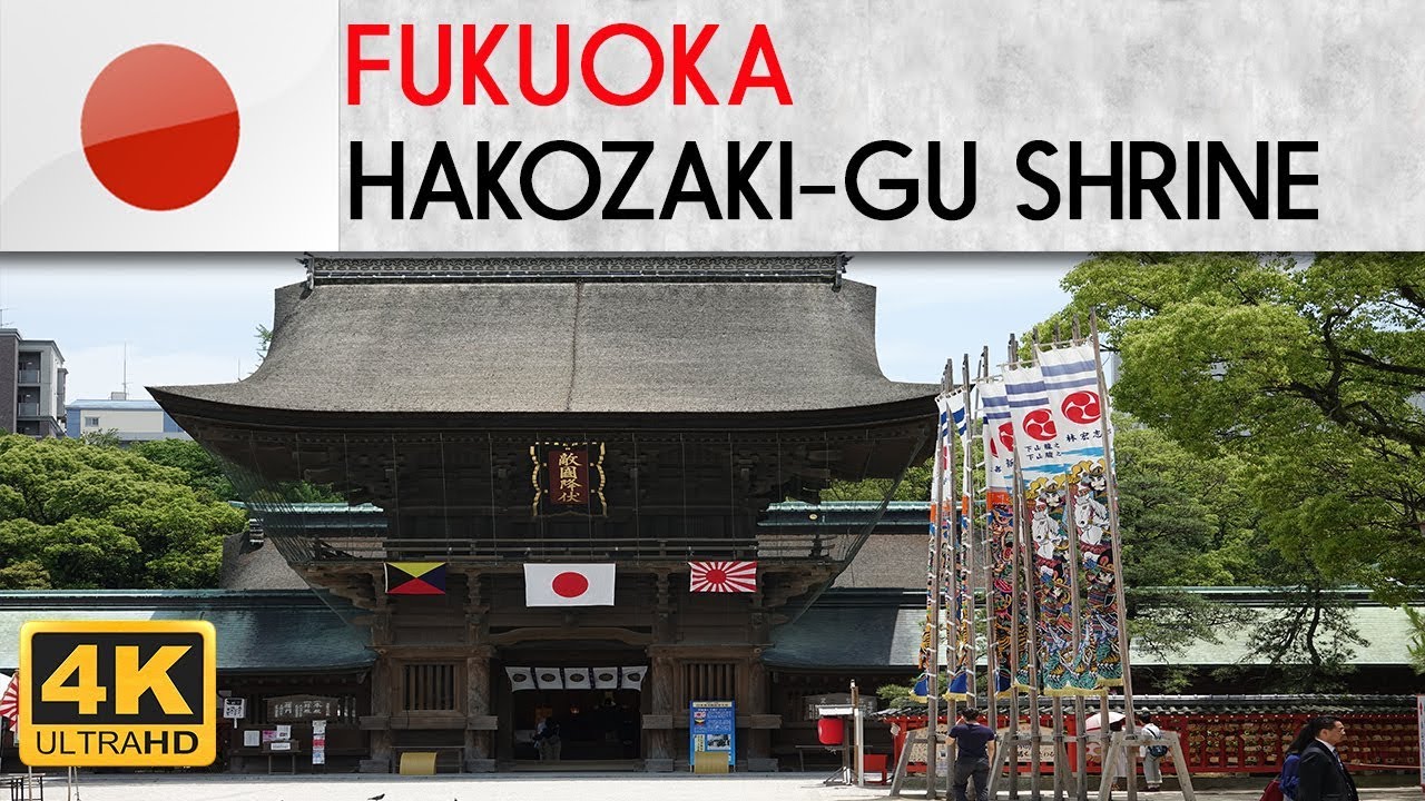 Catch a captivating glimpse of Hakozaki Shrine.