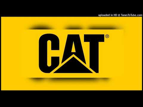 El Taiger x William Magnifico x El Happy - Cate Pillar ( audio oficial )