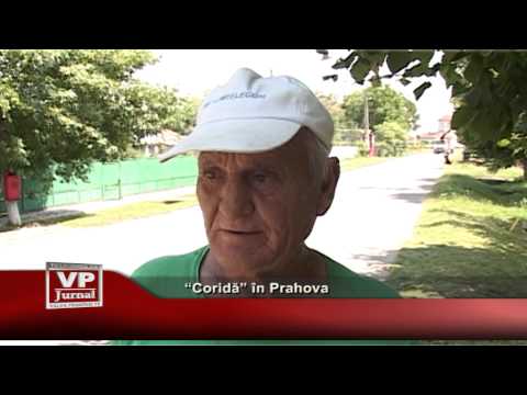 “Corida ” în Prahova