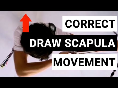 Archery Coaching - Correct Draw Scapula Movement