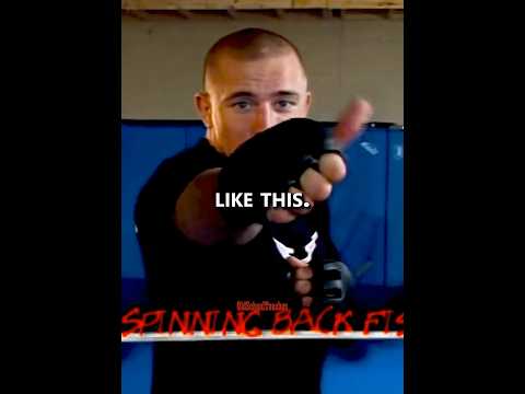 GSP Teaches the Spinning Back Fist