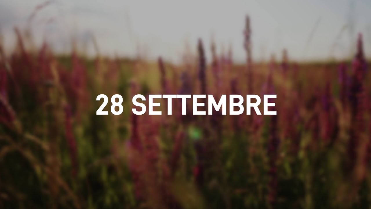 28 Settembre 2025 | Meditazione Parole di Vita