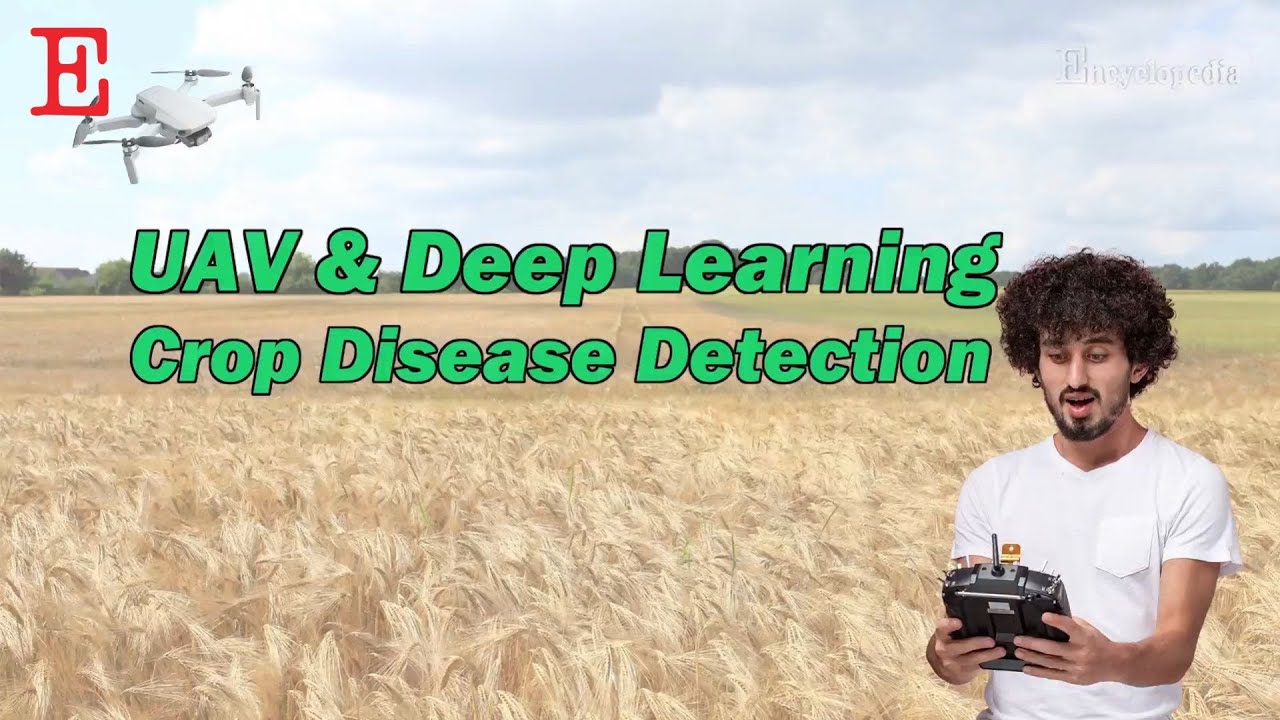 【Remote Sensing】Crop Disease Detection Using UAV and Deep Learning Techniques