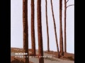 Midlake - Excited But Not Enough