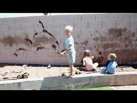 Kids Painted the Fence