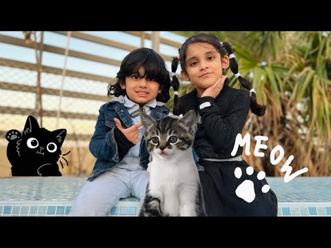 Billi 🐱 || My Little Pet Cat 🐈 | A Cute short story @SehrishLuqmanFamily