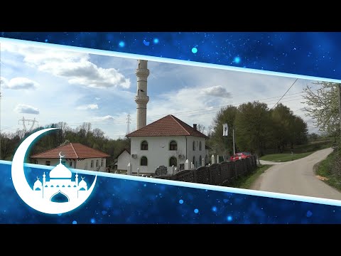 Tuzlanski vjerski objekti - Šehidska džamija Petrovice