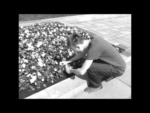 Socialinė psichologija - Kovariacija