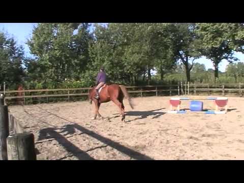 Benetton, Hunter/Eq. prospect by Untouchable