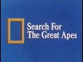 National Geographic Search For The Great Apes 1975