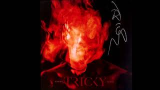 Tricky - Adrian Thaws (Full Vinyl Album)