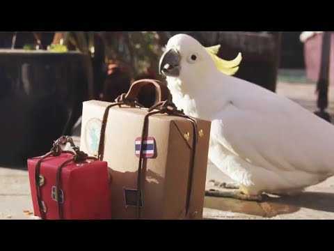 Video cover