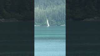 The Beauty of Alaska  #cruise