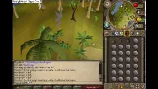 RuneScape Graahk Nature Guide