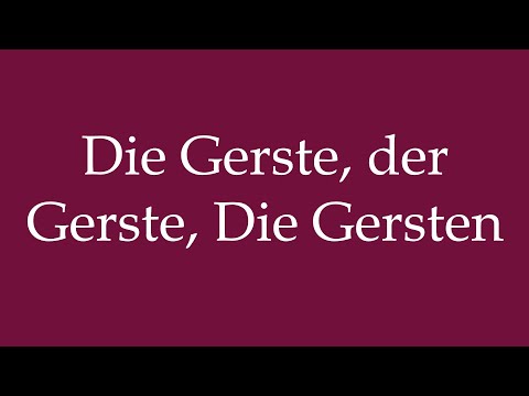 How to Pronounce ''Die Gerste, der Gerste, Die Gersten'' Correctly in German