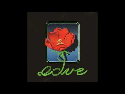 椅子樂團 The Chairs - 夏日最美的三十張拍立得相片 (Official Audio)