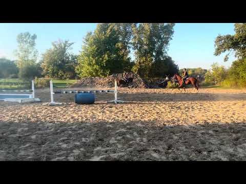 Golden Dream PF video 4