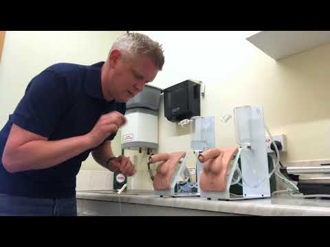 3B Scientific Cathetherisation Trainers