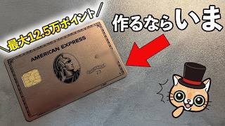 アメックスゴールドプリファードを作るなら「いま」！入会特典最大125000ポイントがアツイ