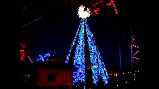 Silver Dollar City Christmas Tree - Joy to the World