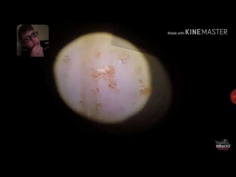 REACT A LENDA DA CASA AMALDIÇOADA (CAÇADORES DE LENDA)