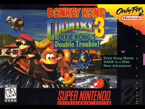 donkey kong country 3 - dixie kong's double trouble super nintendo