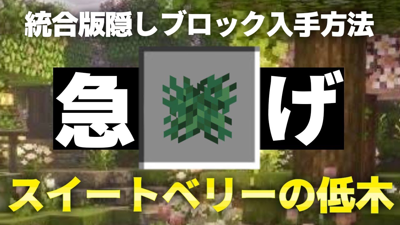 【マイクラ】スイートベリーの低木の入手方法【スイッチ対応】