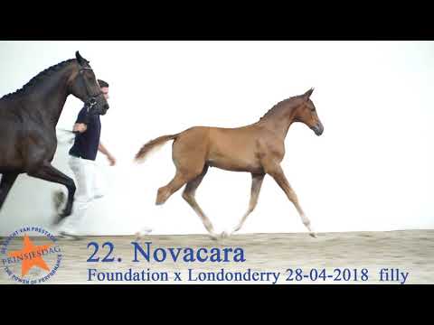 22 Novacara v. Foundation x Londonderry www.prinsjesdag.eu