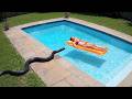 Terrifying Snake Encounters Caught on Camera DEFAULT Thumbnail